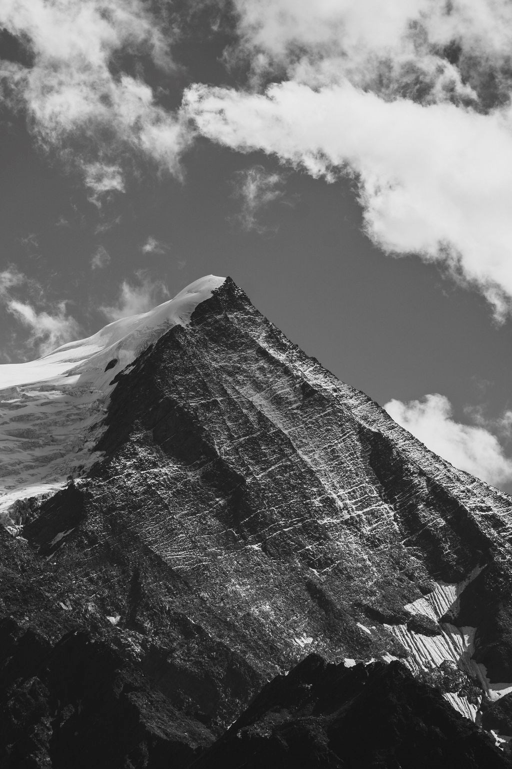 chat sous une couverture