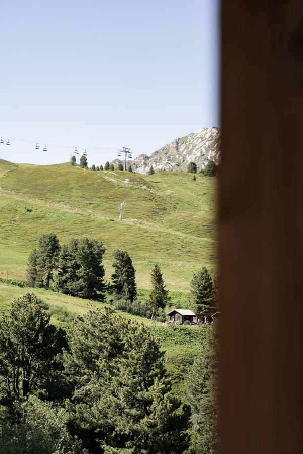 L'ÉTÉ À BELLE PLAGNE