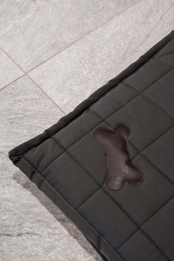 ANIMAUX DE COMPAGNIE